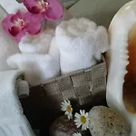 Miami فندق توسا ذي مار